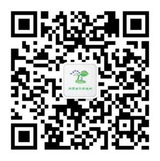 公海彩船6600(中国游)官方网站